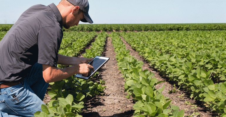 看看美国人利用物联网技术在农业生产中做些什么